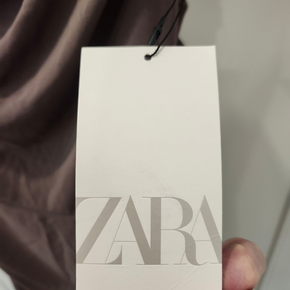 Zara Rouched Dress - Picture 10 of 10